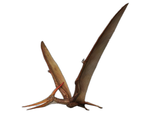 imagem de uma criatura 